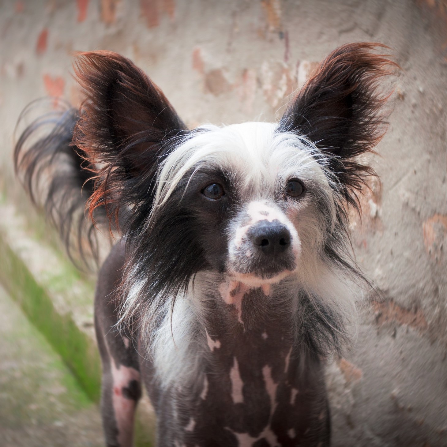 アイコン素材ダウンロードサイト Flaticon コラム グロウニッチ スタッフブログ